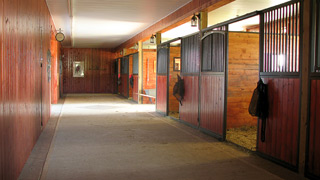 Stables2.jpg Four Stall Barn Inside